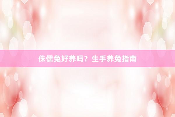 侏儒兔好养吗？生手养兔指南